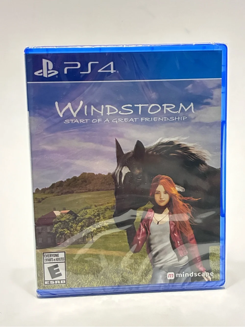 Windstorm: Start of a Great Friendship - PS4